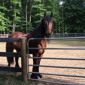 Meet your Posher, Avery